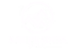 LOGO NAU PRADETS
